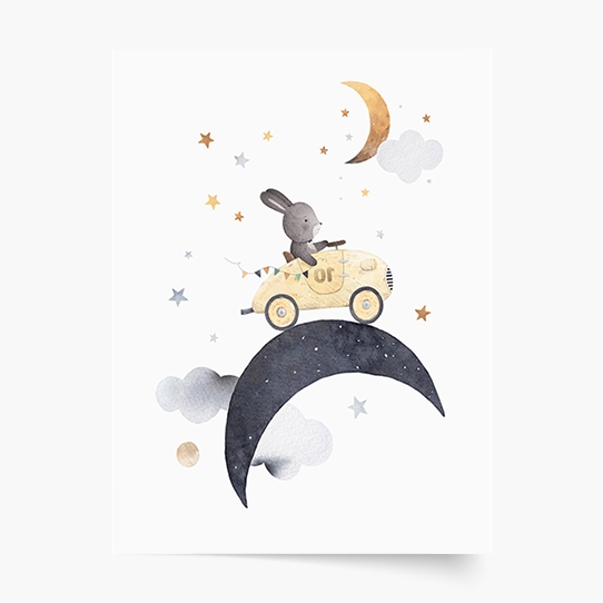 Poster, Noapte: Iepure 2, 21x30