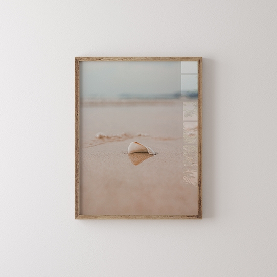 Poster, Mare: Scoică, 30x40