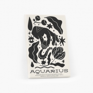 Tablou, Aquarius, 20x30 cm