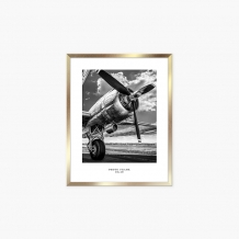 Rama pentru poster FLORIDA AU, aur, 21x30 cm