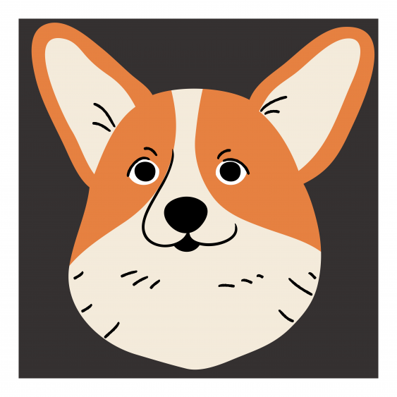Tablou, Câini: Corgi, 30x30 cm