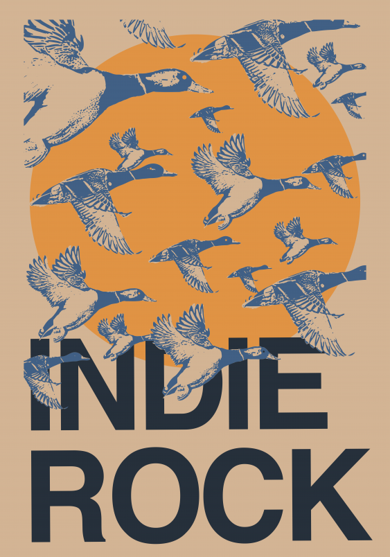 Poster, Muzică indie rock, 21x30