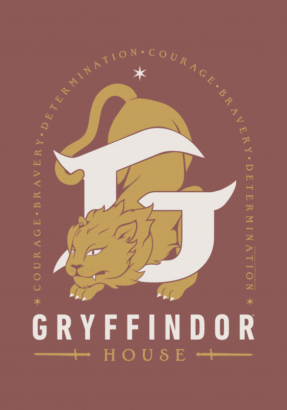 Poster, Harry Potter Domy: Cercetași, 30x40