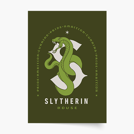 Poster, Harry Potter Domy: Viperini, 30x40