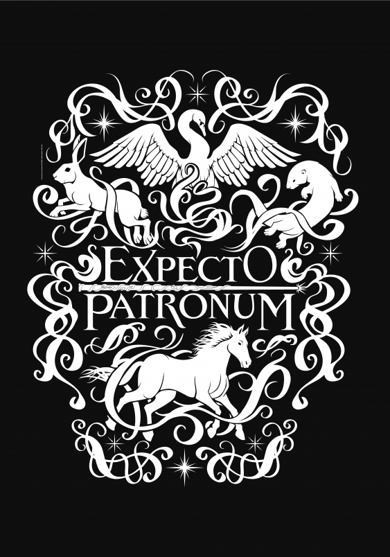 Poster, Harry Potter: Îl aștept pe Patronus, 40x60