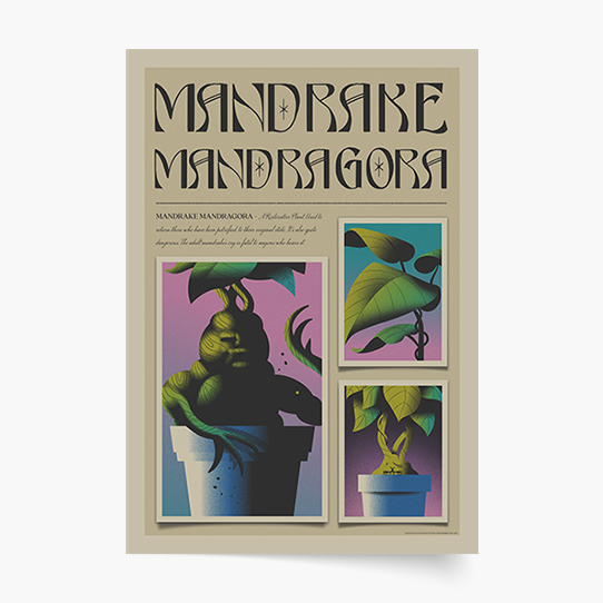 Poster, Harry Potter: Mandrake, 21x30