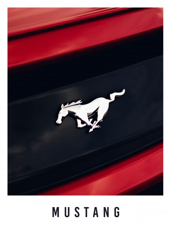Poster, Mașini: Mustang, 21x30