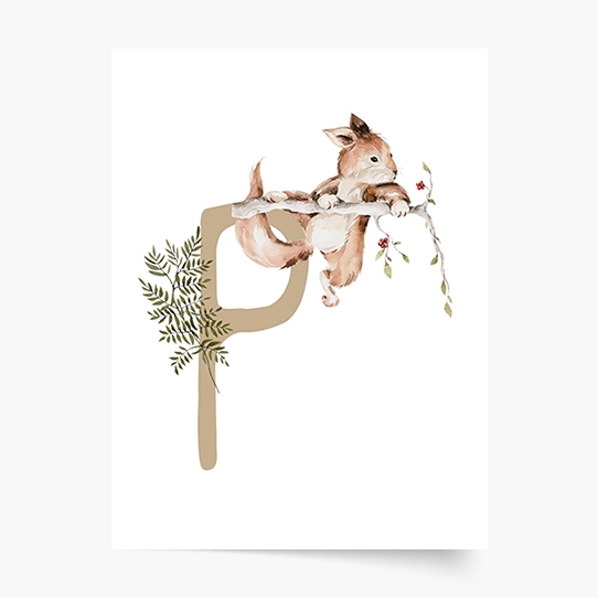 Poster, Alfabet - P: Animale de pădure, 21x30