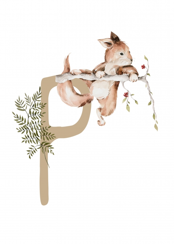 Poster, Alfabet - P: Animale de pădure, 21x30