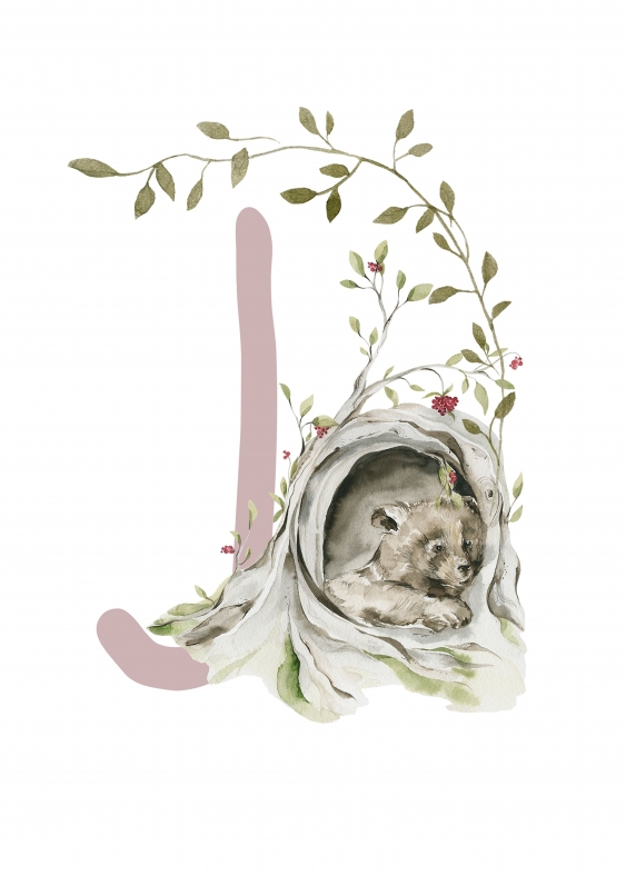 Poster, Alfabet - J: Animale de pădure, 21x30