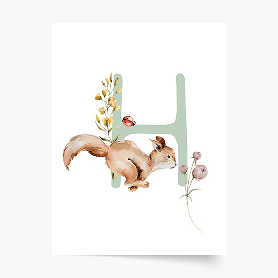 Poster, Alfabet - H: Animale de pădure, 21x30