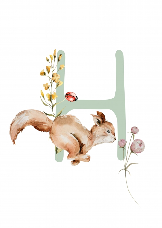 Poster, Alfabet - H: Animale de pădure, 21x30