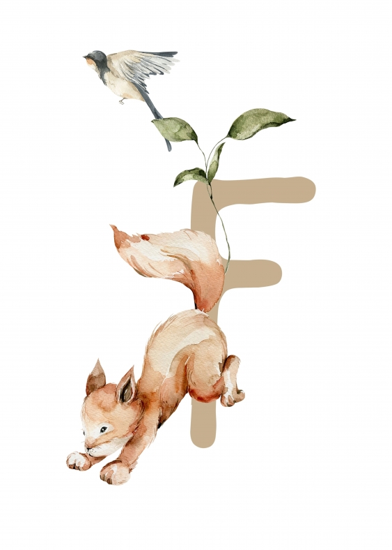 Poster, Alfabet - F: Animale de pădure, 21x30