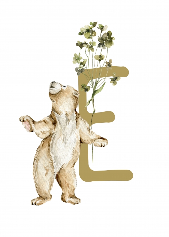 Poster, Alfabet - E: Animale de pădure, 21x30