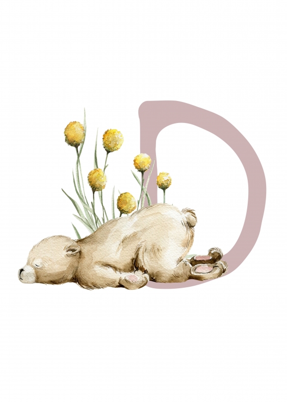 Poster, Alfabet - D: Animale de pădure, 21x30