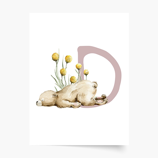 Poster, Alfabet - D: Animale de pădure, 21x30