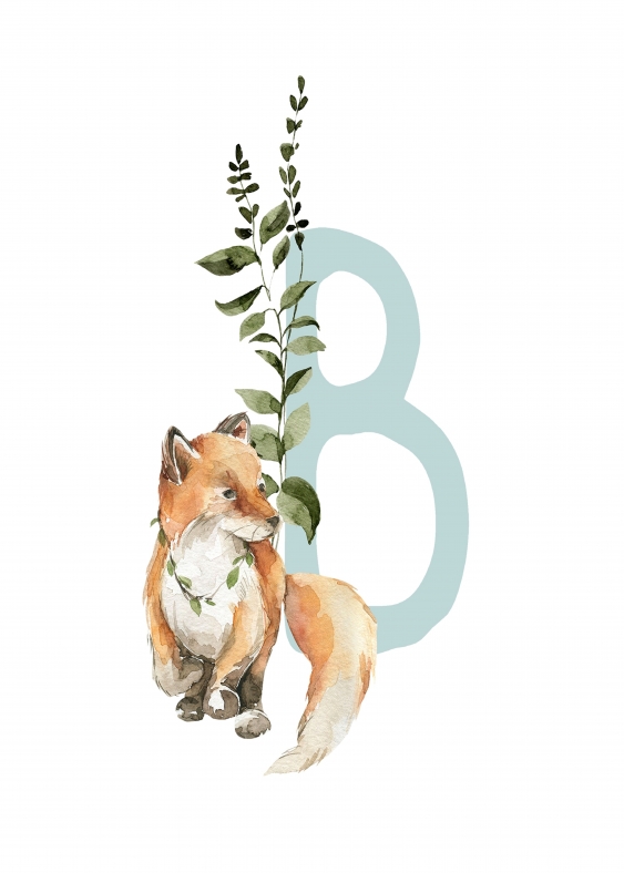 Poster, Alfabet - B: Animale de pădure, 21x30