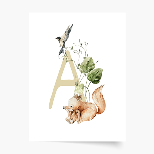 Poster, Alfabet - A: Animale de pădure, 21x30