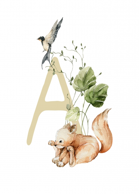 Poster, Alfabet - A: Animale de pădure, 21x30