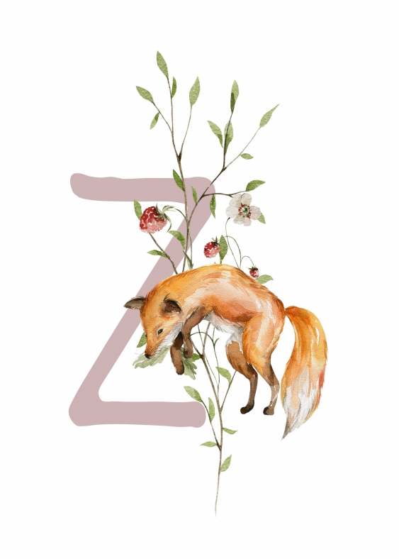 Poster, Alfabet - Z: Animale de pădure, 21x30