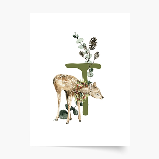 Poster, Alfabet - T: Animale de pădure, 21x30
