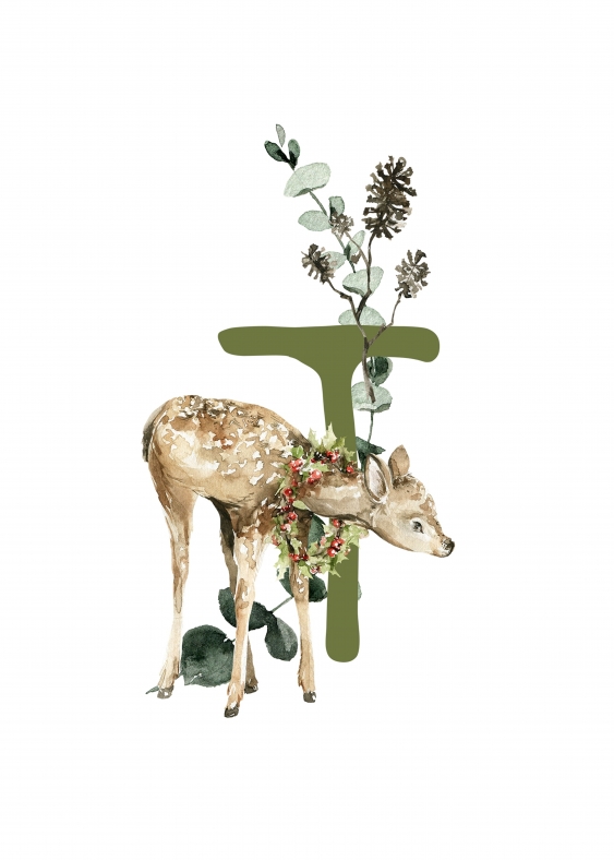 Poster, Alfabet - T: Animale de pădure, 21x30