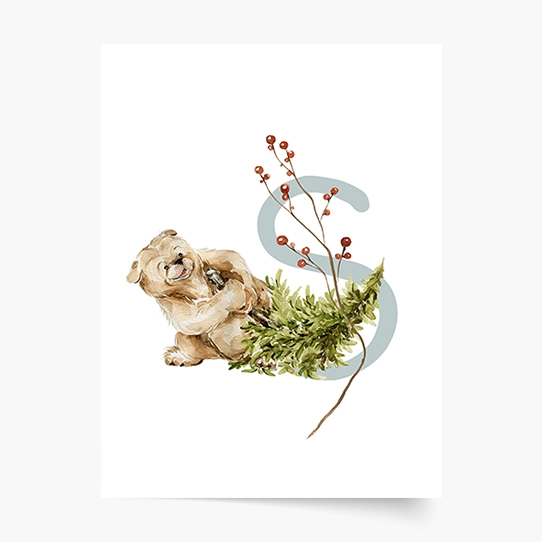 Poster, Alfabet - S: Animale de pădure, 21x30