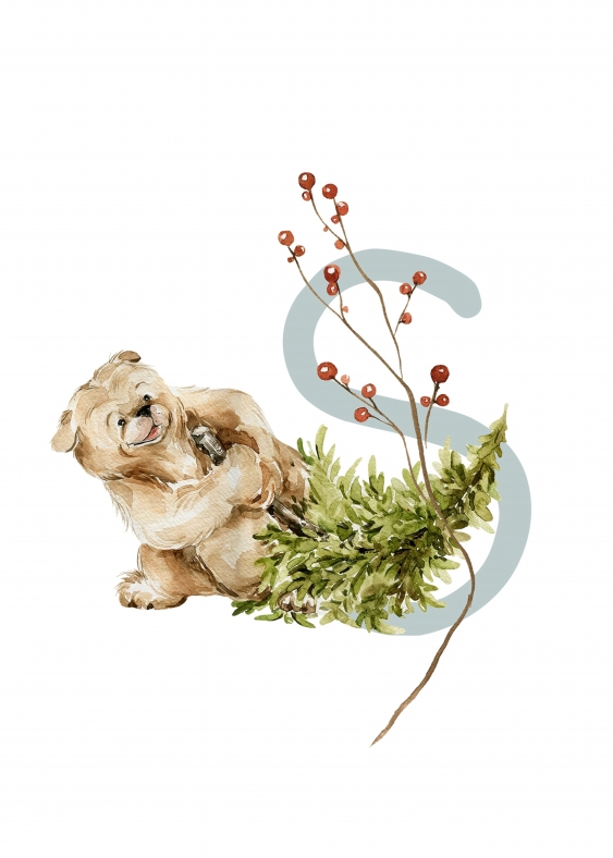 Poster, Alfabet - S: Animale de pădure, 21x30