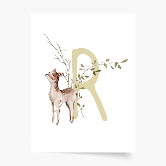 Poster, Alfabet - R: Animale de pădure, 21x30