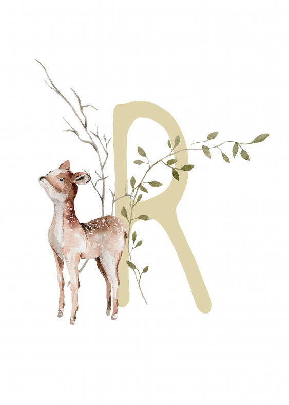 Poster, Alfabet - R: Animale de pădure, 21x30