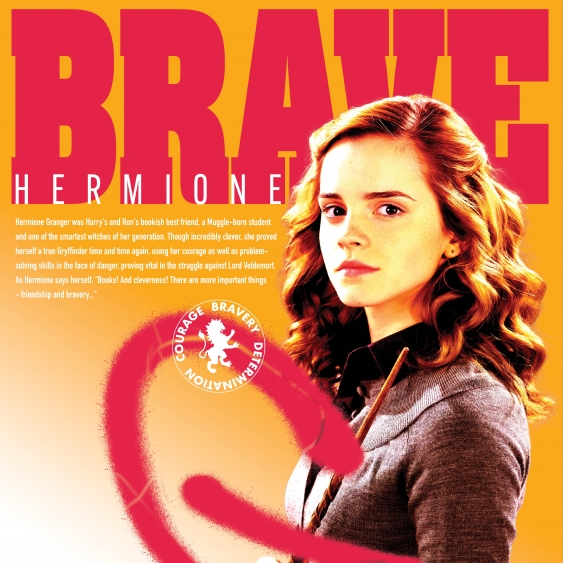 Poster, Harry Potter: Hermione cea Vioaie, 30x30