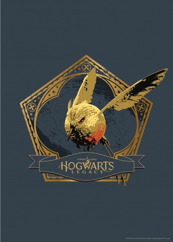 Poster, Harry Potter: Moștenirea de la Hogwarts, 50x70