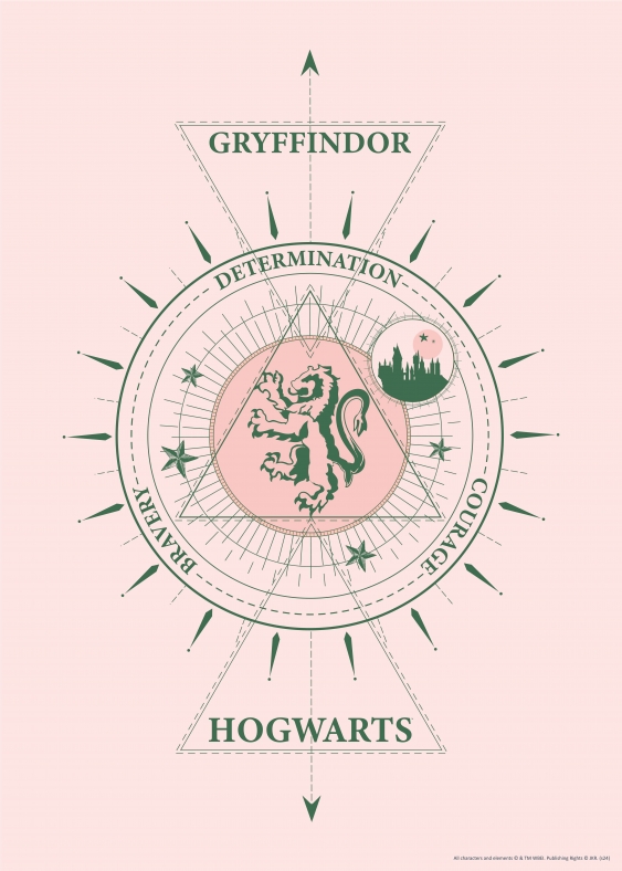 Poster, Harry Potter: Cercetași, 50x70