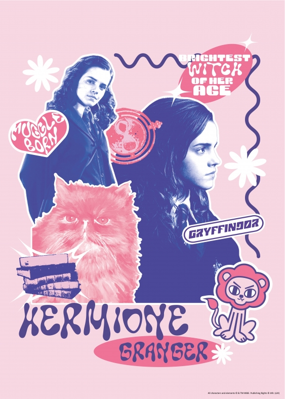 Poster, Harry Potter: Cercetașii - Hermione, 30x40