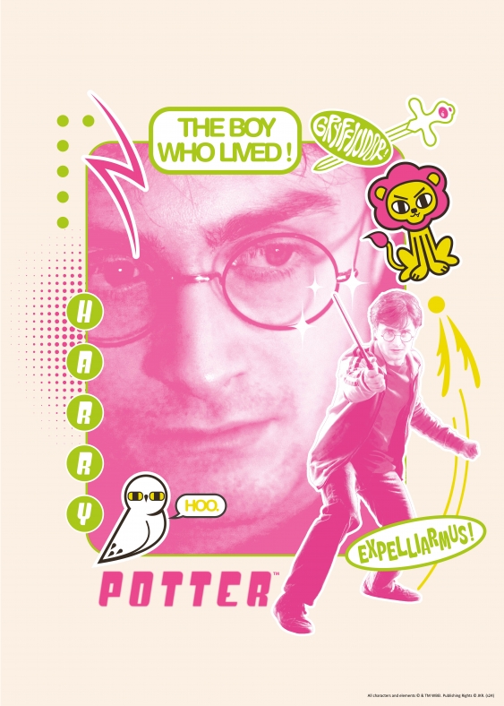 Poster, Harry Potter: Harry - Expelliarmus, 30x40