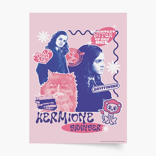 Poster, Harry Potter: Cercetașii - Hermione, 30x40
