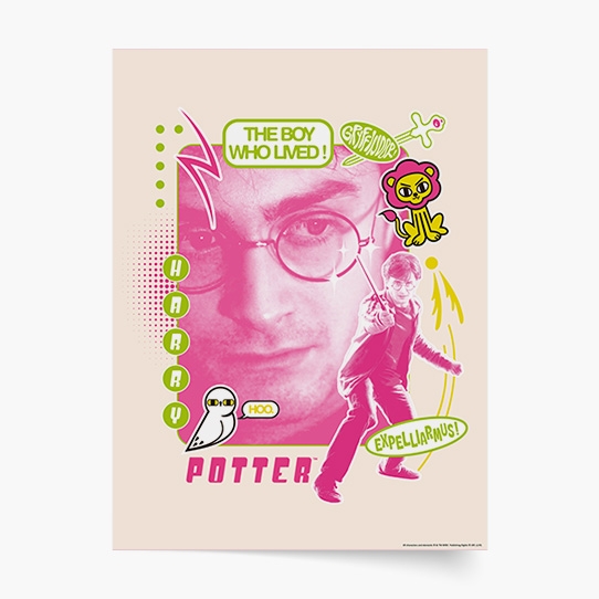 Poster, Harry Potter: Harry - Expelliarmus, 30x40
