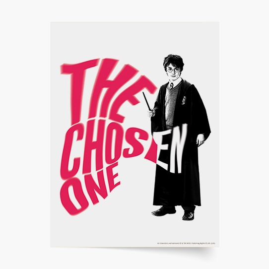 Poster, Harry Potter: Alesul, 30x40
