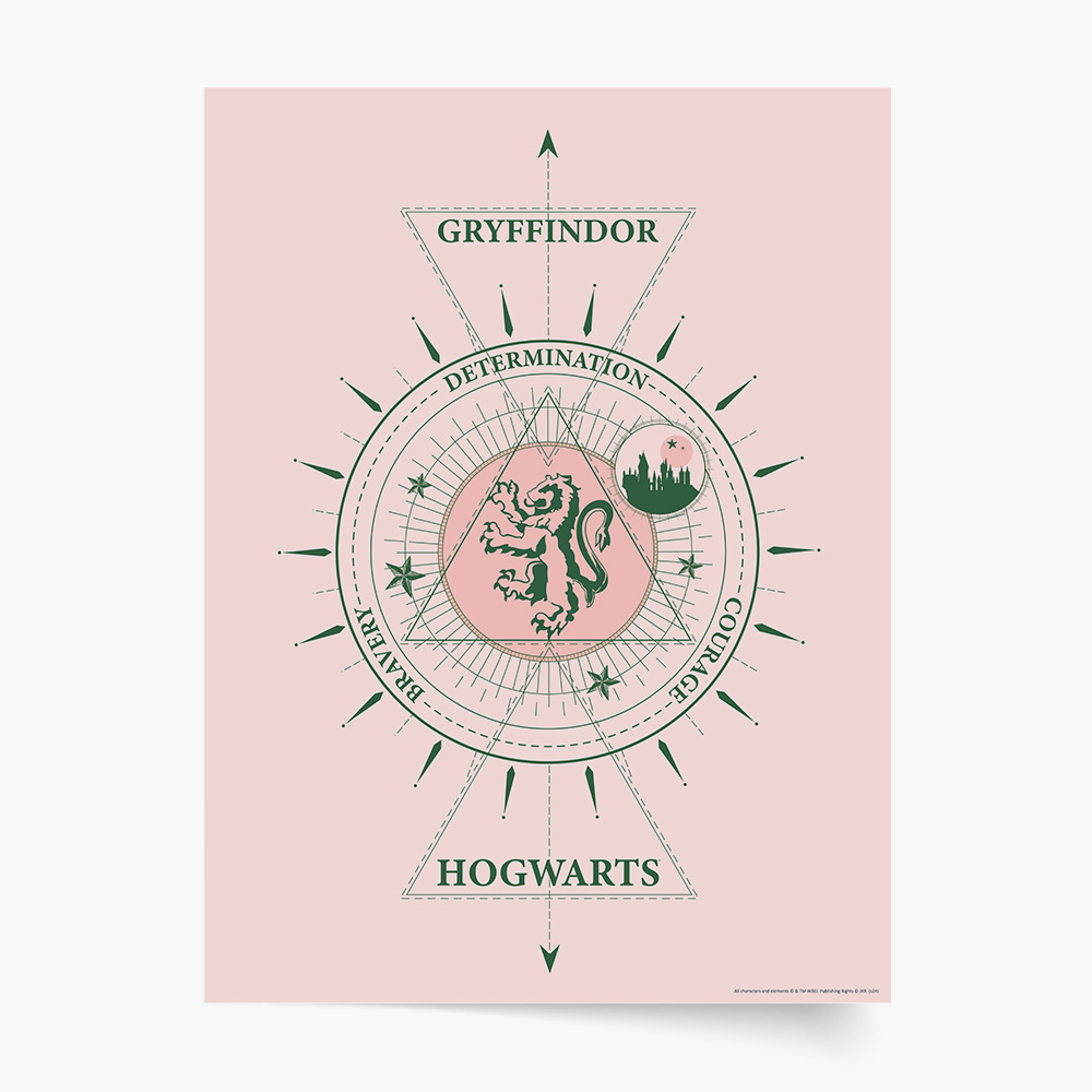 Poster, Harry Potter: Cercetași, 50x70