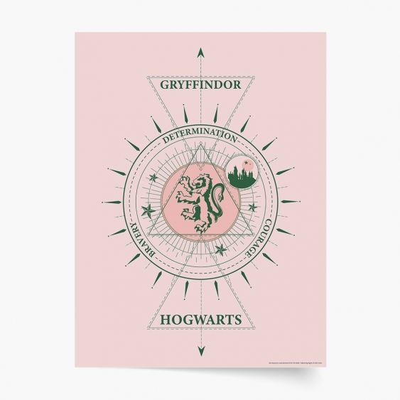 Poster, Harry Potter: Cercetași, 50x70