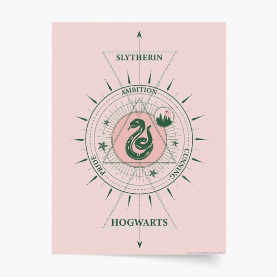 Poster, Harry Potter: Viperini, 30x40