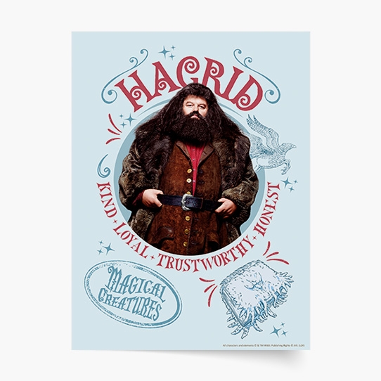 Poster, Harry Potter: Hagrid, 30x40