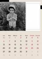 Calendar de perete, Calendar cu notitele tale , 20x30-A4 cm