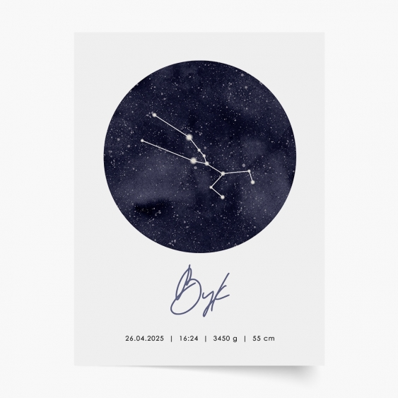 Poster, Semne zodiacale, 20x30