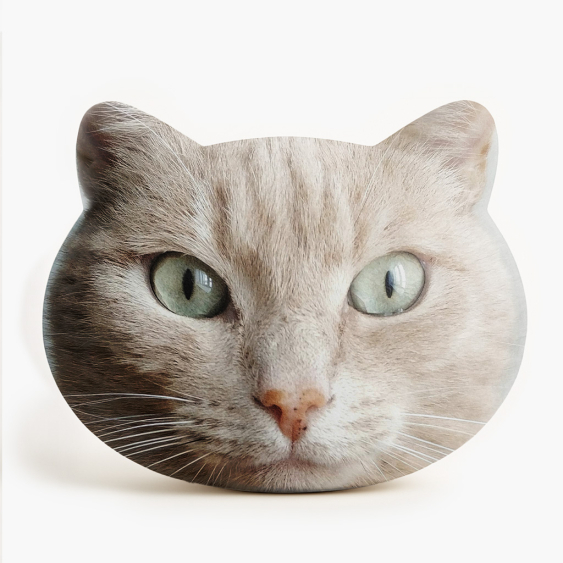 Pernă 3D personalizată, catifea, Proiectul tău CAT, 33X33 cm