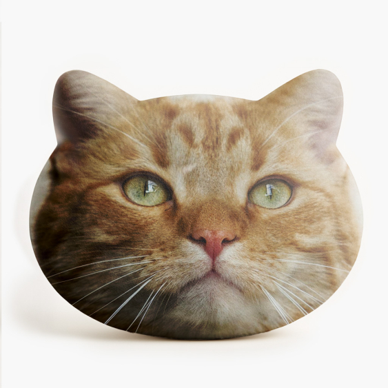 Pernă 3D personalizată, catifea, Fotografia ta, 33X33 cm