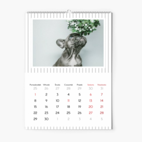 Calendar de perete, Povești de familie, 20x30-A4 cm