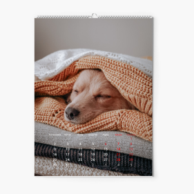 Calendar de perete, Anul acesta, 20x30-A4 cm