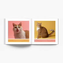 Albumul pisoiului fotocarte, 20x20 cm