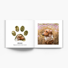 Animalutele mele fotocarte, 20x20 cm